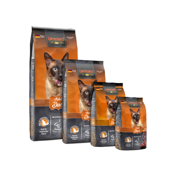 Leonardo - Adult Duck